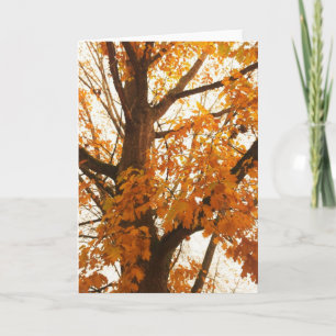 Autumn Leaves Briefkaart