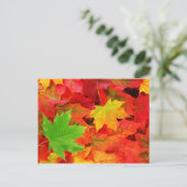 Autumn Leaves Briefkaart (Staand voorkant)