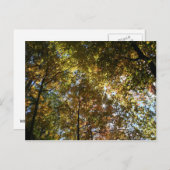 Autumn Leaves Briefkaart (Voorkant / Achterkant)