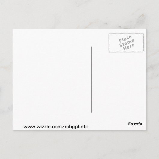 Autumn Leaves Briefkaart (Achterkant)