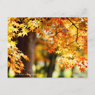 Autumn Leaves [Briefkaart] Briefkaart