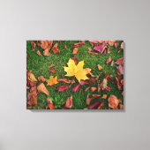 Autumn Leaves Canvas Afdruk (Voorkant)