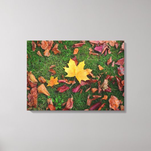 Autumn Leaves Canvas Afdruk (Voorkant)