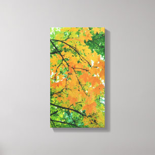 Autumn Leaves Canvas Afdruk