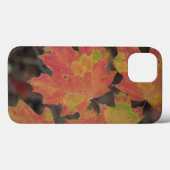 Autumn Leaves Case-Mate iPhone Case (Achterkant (horizontaal))