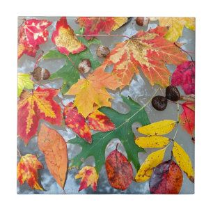 Autumn Leaves Ceramic Coster Tegel Tegeltje