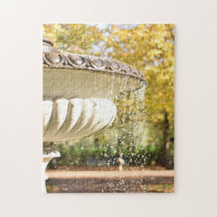 Autumn Leaves en Fountain Regent's Park Londen Ver Legpuzzel