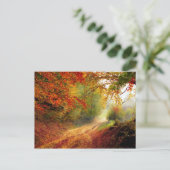 Autumn Leaves en Trees die Dirt Road bedekken Briefkaart (Staand voorkant)