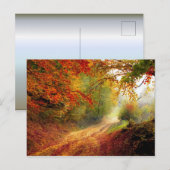 Autumn Leaves en Trees die Dirt Road bedekken Briefkaart (Voorkant / Achterkant)