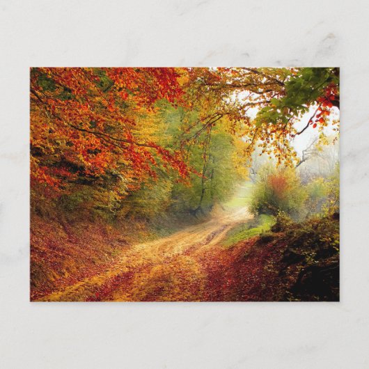 Autumn Leaves en Trees die Dirt Road bedekken Briefkaart (Voorkant)
