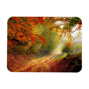 Autumn Leaves en Trees die Dirt Road bedekken Magneet