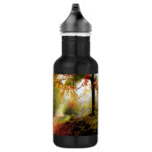 Autumn Leaves en Trees die Dirt Road bedekken Waterfles (Rechts)