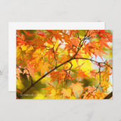 Autumn Leaves [Flat Card] Aankondiging (Voorkant / Achterkant)