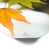 Autumn Leaves [Glossy Poster] Perfect Poster (Hoek)
