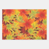 Autumn Leaves Inpakpapier Vel (Voorkant 3)
