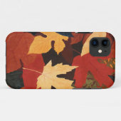 Autumn Leaves iPhone 5Hoesje-MateBarelyDaar Case-Mate iPhone Case (Achterkant (horizontaal))