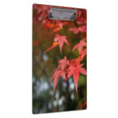 Autumn Leaves Klembord (Rechts)