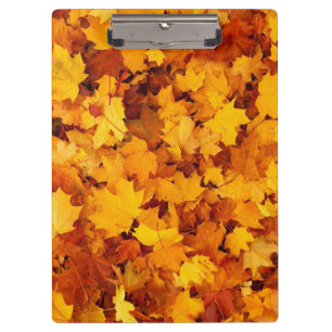 Autumn Leaves Klembord