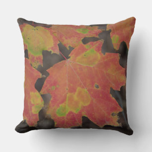 Autumn Leaves Kussen