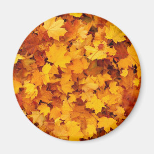 Autumn Leaves Magneet