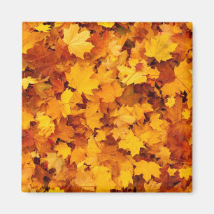 Autumn Leaves Magneet