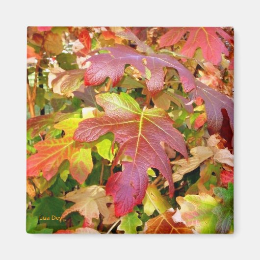 'Autumn Leaves' Magnet Magneet (Voorkant)