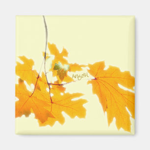 Autumn Leaves Magnet Magneet