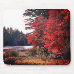 Autumn Leaves Marsh Natuur Muismat