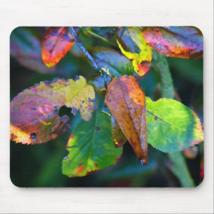 Autumn Leaves Mousemat Muismat