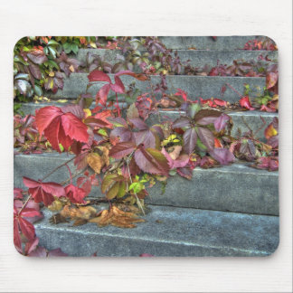 Autumn leaves mousepad muismat