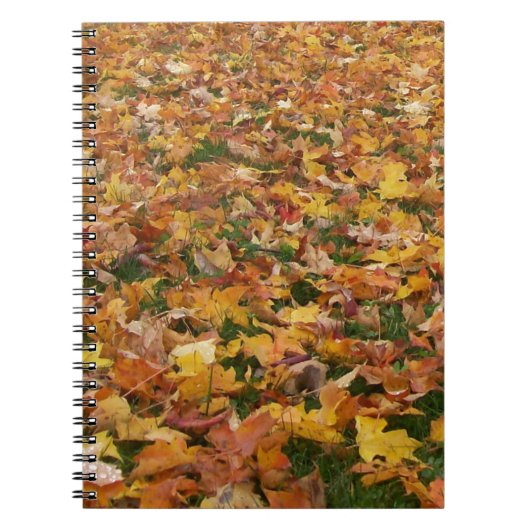 Autumn Leaves Notitieboek (Voorkant)