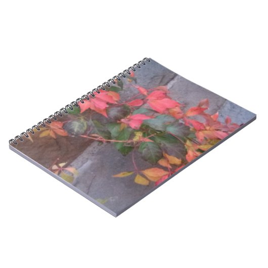 Autumn Leaves Notitieboek (Linkerzijde)