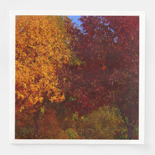 Autumn Leaves of Yellow and Paars, ZSSPG Servet