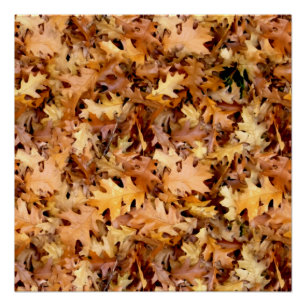AUTUMN LEAVES PERFECT POSTER