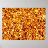 Autumn Leaves Poster (Voorkant)