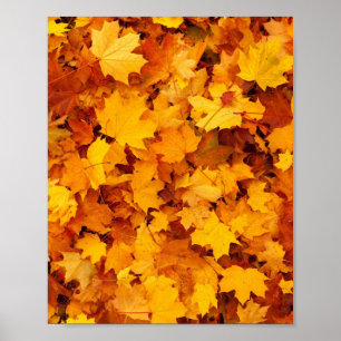 Autumn Leaves Poster