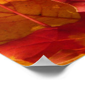 Autumn Leaves Poster (Hoek)
