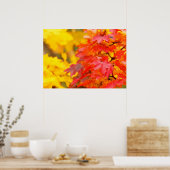 Autumn Leaves Poster (Keuken)