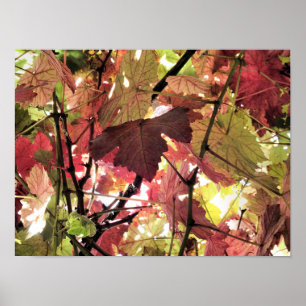 AUTUMN LEAVES POSTER