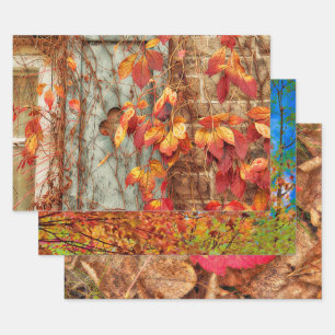 Autumn Leaves Red Yellow Oranje Land Rustic Inpakpapier Vel