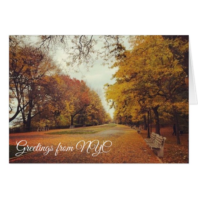 Autumn Leaves Riverside Park New York City NYC (Devant Horizontal)