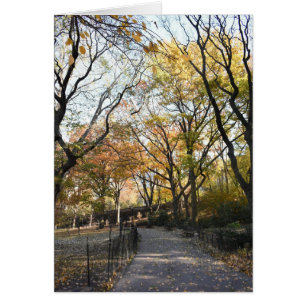 Autumn Leaves Riverside Park New York City NYC