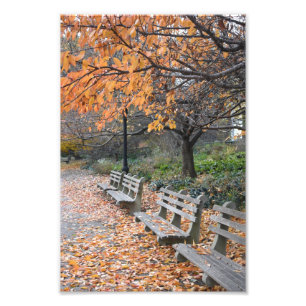 Autumn Leaves Riverside Park New York City NYC Foto Afdruk