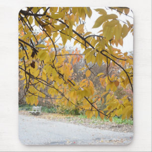 Autumn Leaves Riverside Park New York City NYC Muismat
