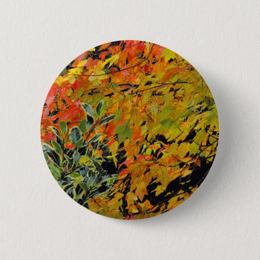 Autumn Leaves Ronde Button 5,7 Cm (Voorkant)