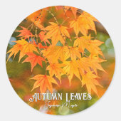 Autumn Leaves Ronde Sticker (Voorkant)