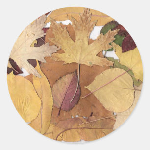 Autumn Leaves Ronde Sticker