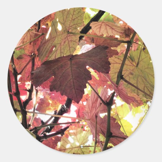 AUTUMN LEAVES RONDE STICKER (Voorkant)