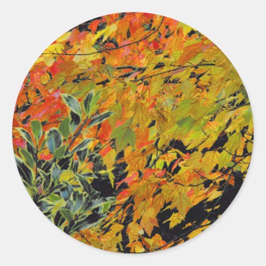 Autumn Leaves Ronde Sticker (Voorkant)