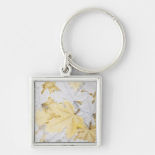 Autumn Leaves Sleutelhanger